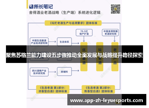 聚焦苏格兰能力建设五步骤推动全面发展与战略提升路径探索