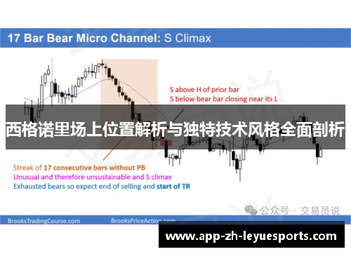 西格诺里场上位置解析与独特技术风格全面剖析