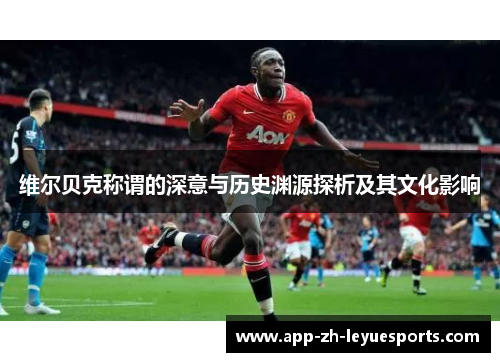 维尔贝克称谓的深意与历史渊源探析及其文化影响